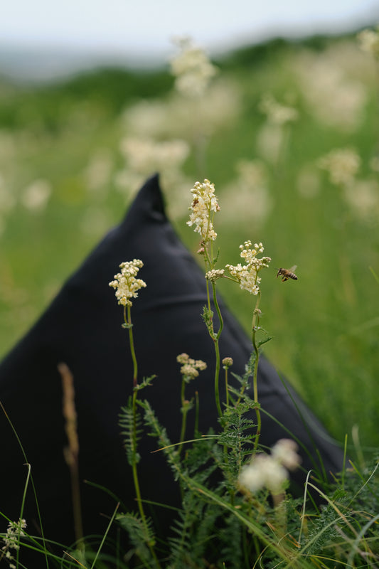 Natural silk pillowcase | Pack of 2 pillowcases