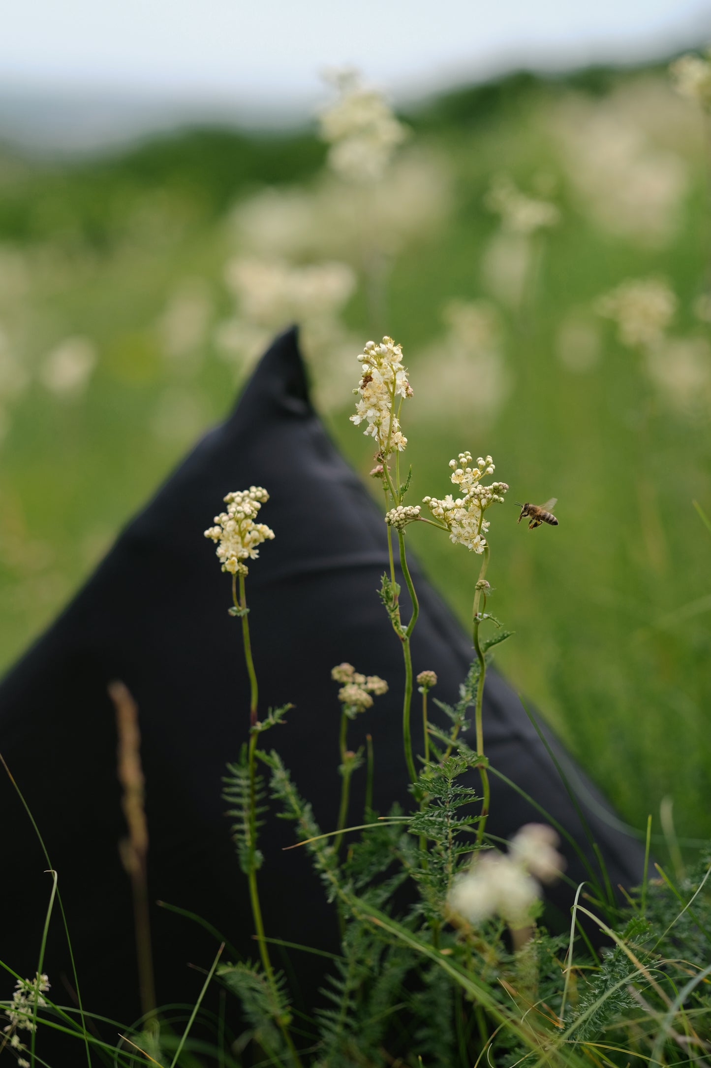Natural silk pillowcase | Final Sale