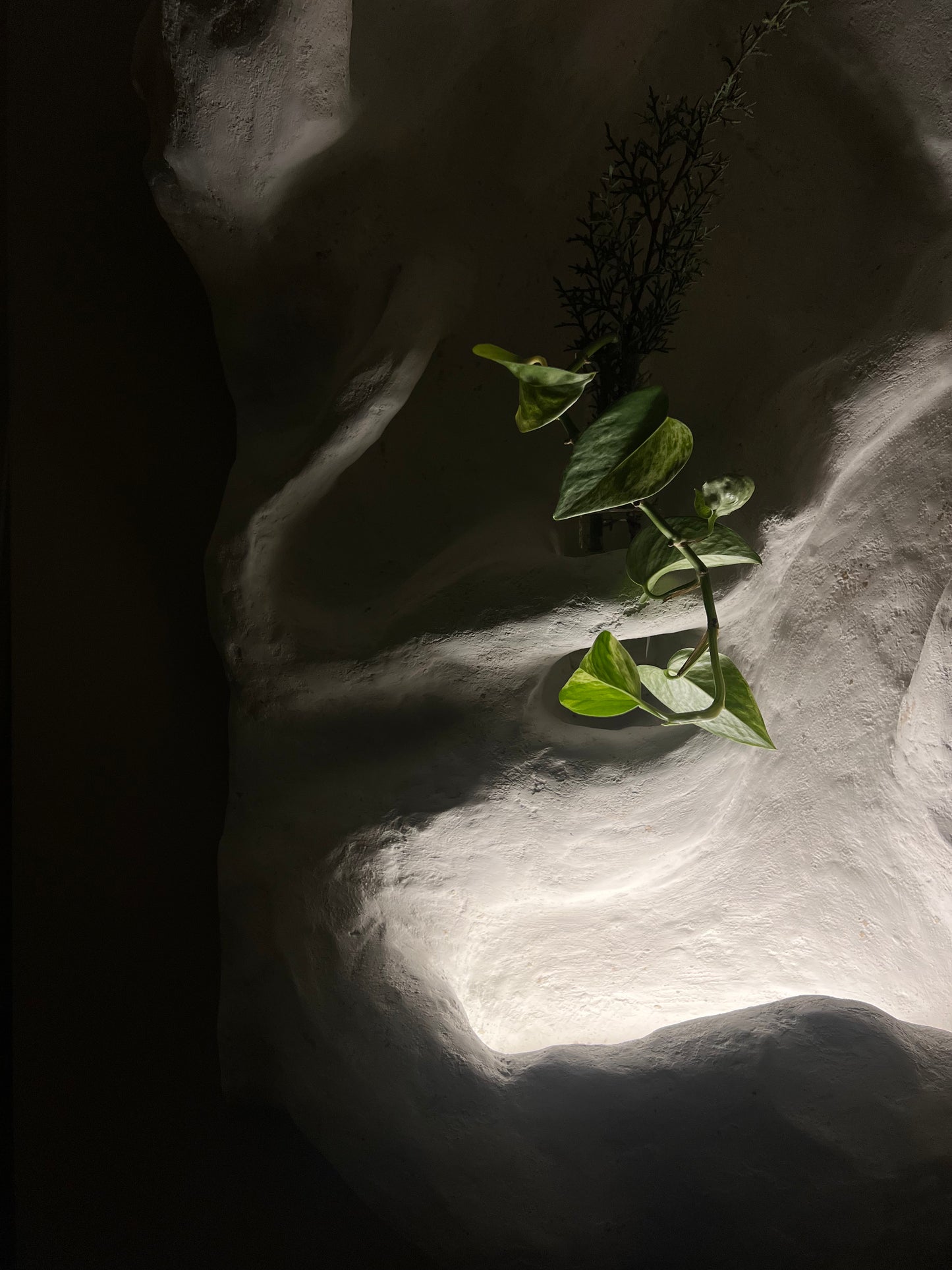 "BloomLight" 3D Lighting Art Object with a Vase for cut flowers